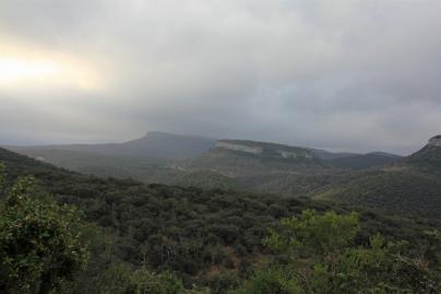 Mont Bouquet