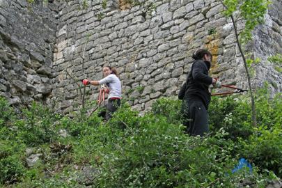 et de buissons