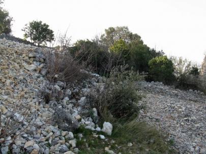 Enceinte extérieure sous les broussailles